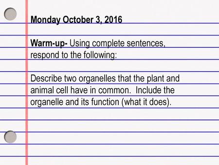 Monday October 3, 2016 Warm-up- Using complete sentences, respond to the following: Describe two organelles that the plant and animal cell have in common.