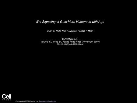 Wnt Signaling: It Gets More Humorous with Age
