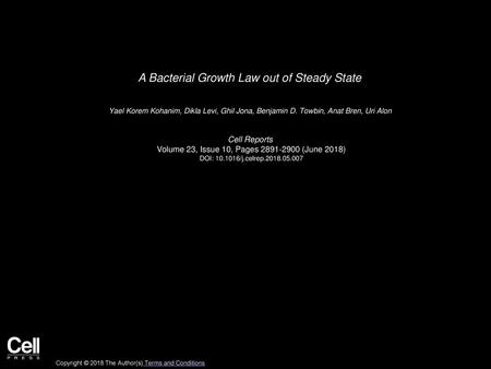 A Bacterial Growth Law out of Steady State