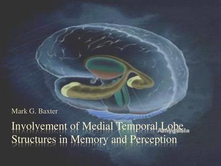 Mark G. Baxter Involvement of Medial Temporal Lobe Structures in Memory and Perception.