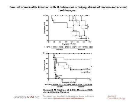Survival of mice after infection with M