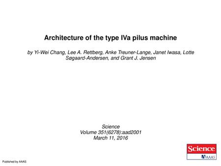 Architecture of the type IVa pilus machine