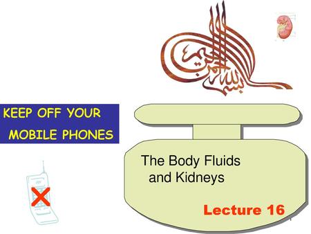   The Body Fluids and Kidneys Lecture 16 KEEP OFF YOUR MOBILE PHONES