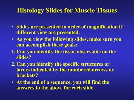 Histology Slides for Muscle Tissues