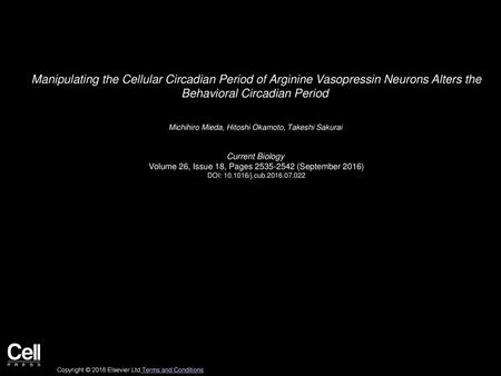 Manipulating the Cellular Circadian Period of Arginine Vasopressin Neurons Alters the Behavioral Circadian Period  Michihiro Mieda, Hitoshi Okamoto, Takeshi.