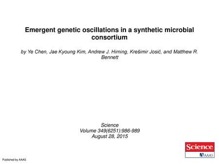 Emergent genetic oscillations in a synthetic microbial consortium