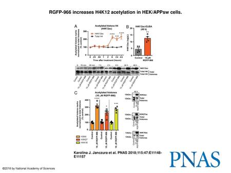 RGFP-966 increases H4K12 acetylation in HEK/APPsw cells.