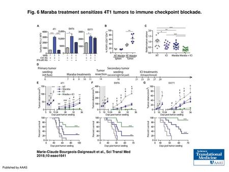 Maraba treatment sensitizes 4T1 tumors to immune checkpoint blockade