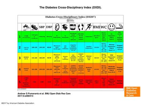 The Diabetes Cross-Disciplinary Index (DXDI).