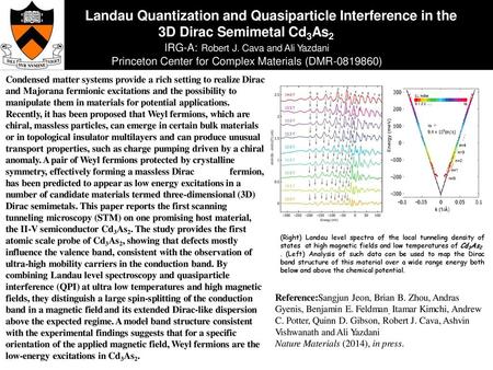 Landau Quantization and Quasiparticle Interference in the