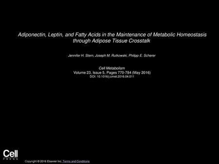 Adiponectin, Leptin, and Fatty Acids in the Maintenance of Metabolic Homeostasis through Adipose Tissue Crosstalk  Jennifer H. Stern, Joseph M. Rutkowski,