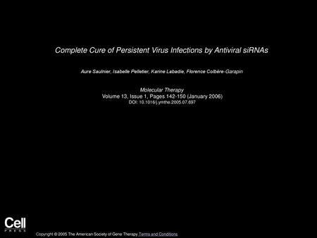 Complete Cure of Persistent Virus Infections by Antiviral siRNAs