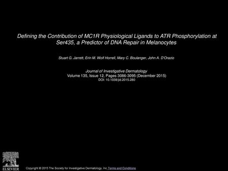 Defining the Contribution of MC1R Physiological Ligands to ATR Phosphorylation at Ser435, a Predictor of DNA Repair in Melanocytes  Stuart G. Jarrett,
