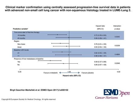Clinical marker confirmation using centrally assessed progression-free survival data in patients with advanced non-small cell lung cancer with non-squamous.