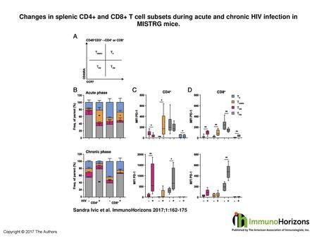 Changes in splenic CD4+ and CD8+ T cell subsets during acute and chronic HIV infection in MISTRG mice. Changes in splenic CD4+ and CD8+ T cell subsets.