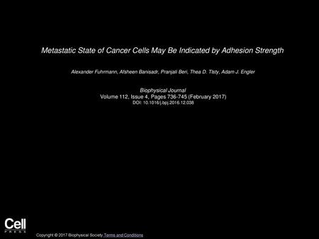 Metastatic State of Cancer Cells May Be Indicated by Adhesion Strength