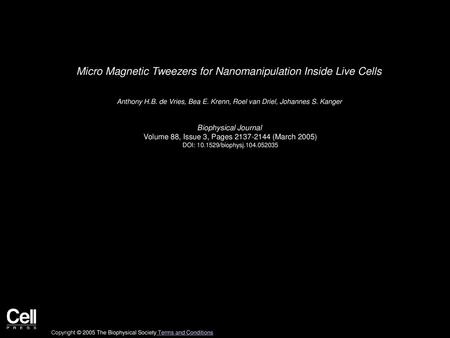 Micro Magnetic Tweezers for Nanomanipulation Inside Live Cells