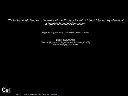 Photochemical Reaction Dynamics of the Primary Event of Vision Studied by Means of a Hybrid Molecular Simulation  Shigehiko Hayashi, Emad Tajkhorshid,