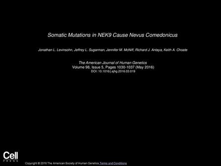 Somatic Mutations in NEK9 Cause Nevus Comedonicus