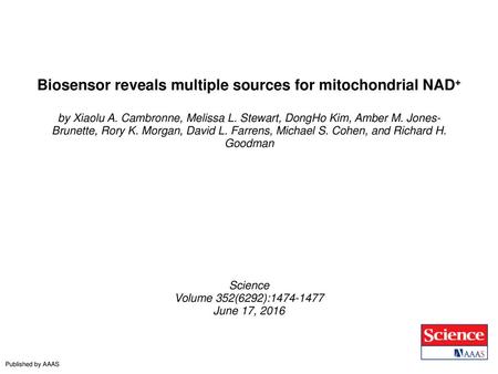 Biosensor reveals multiple sources for mitochondrial NAD+