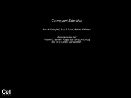 Convergent Extension Developmental Cell