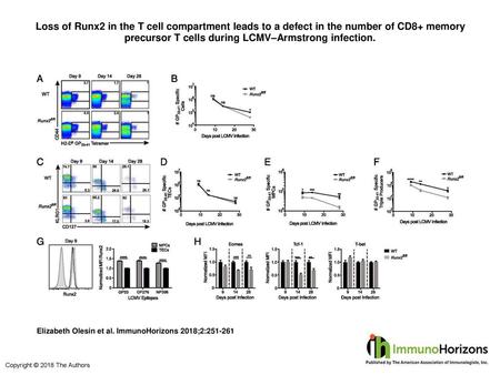 Loss of Runx2 in the T cell compartment leads to a defect in the number of CD8+ memory precursor T cells during LCMV–Armstrong infection. Loss of Runx2.