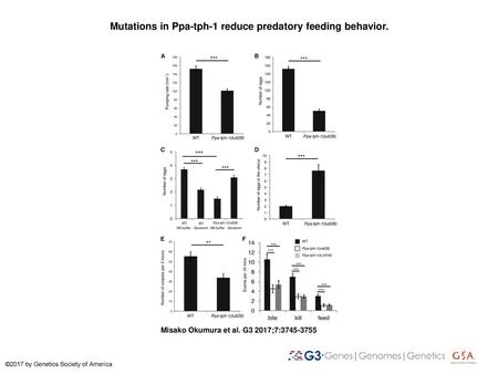 Mutations in Ppa-tph-1 reduce predatory feeding behavior.