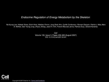 Endocrine Regulation of Energy Metabolism by the Skeleton
