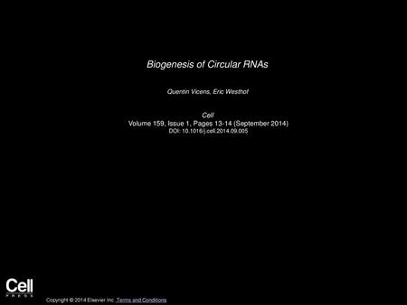 Biogenesis of Circular RNAs
