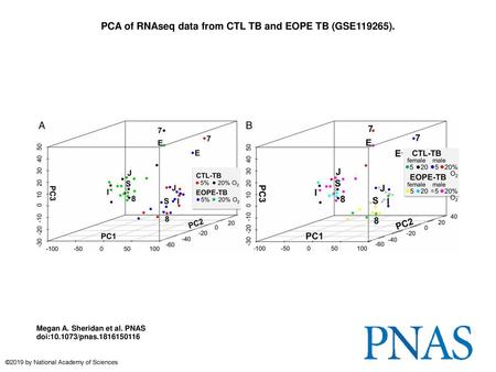 PCA of RNAseq data from CTL TB and EOPE TB (GSE119265).