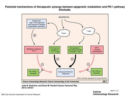 Potential mechanisms of therapeutic synergy between epigenetic modulation and PD-1 pathway blockade. Potential mechanisms of therapeutic synergy between.