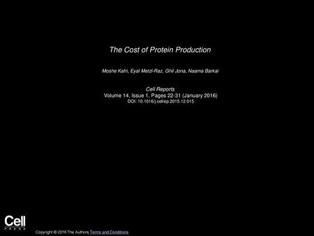 The Cost of Protein Production