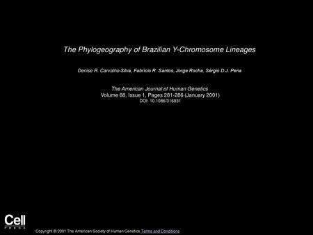 The Phylogeography of Brazilian Y-Chromosome Lineages