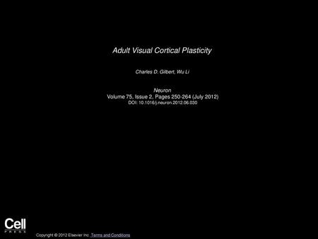 Adult Visual Cortical Plasticity