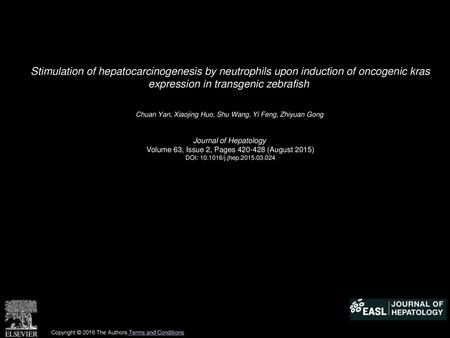 Stimulation of hepatocarcinogenesis by neutrophils upon induction of oncogenic kras expression in transgenic zebrafish  Chuan Yan, Xiaojing Huo, Shu Wang,