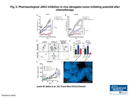 Fig. 5. Pharmacological JAK2 inhibition in vivo abrogates tumor-initiating potential after chemotherapy. Pharmacological JAK2 inhibition in vivo abrogates.