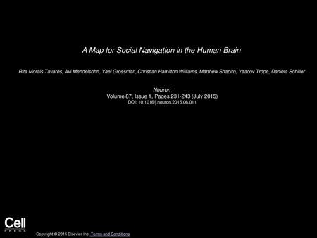 A Map for Social Navigation in the Human Brain