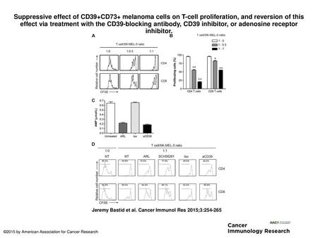 Suppressive effect of CD39+CD73+ melanoma cells on T-cell proliferation, and reversion of this effect via treatment with the CD39-blocking antibody, CD39.