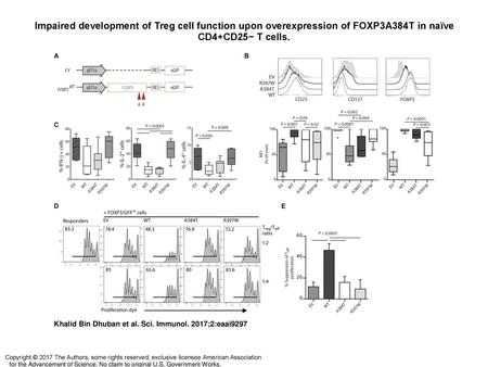 Impaired development of Treg cell function upon overexpression of FOXP3A384T in naïve CD4+CD25− T cells. Impaired development of Treg cell function upon.