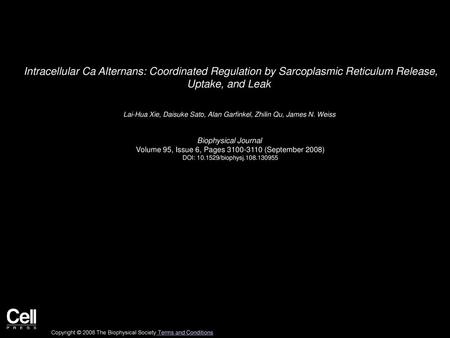 Intracellular Ca Alternans: Coordinated Regulation by Sarcoplasmic Reticulum Release, Uptake, and Leak  Lai-Hua Xie, Daisuke Sato, Alan Garfinkel, Zhilin.