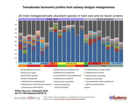 Transdomain taxonomic profiles from subway shotgun metagenomes.