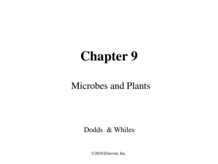 Chapter 9 Microbes and Plants Dodds & Whiles ©2010 Elsevier, Inc.