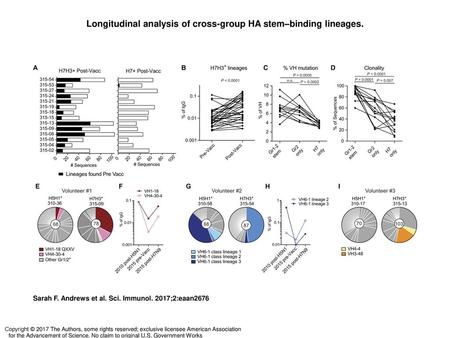 Longitudinal analysis of cross-group HA stem–binding lineages.