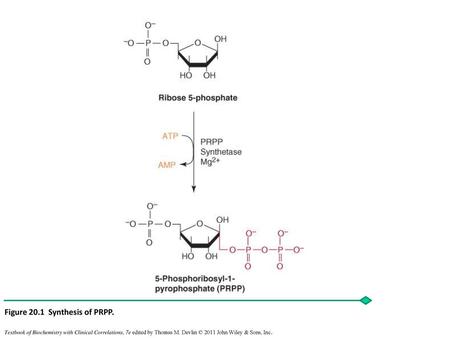 Figure 20.1 Synthesis of PRPP.