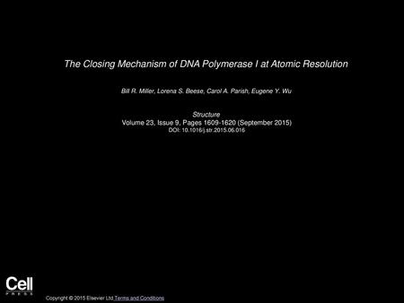 The Closing Mechanism of DNA Polymerase I at Atomic Resolution