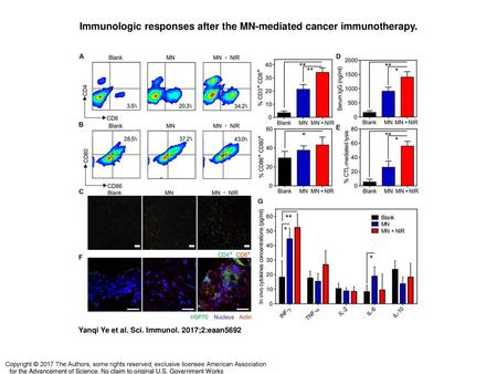 Immunologic responses after the MN-mediated cancer immunotherapy.