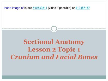 Sectional Anatomy Lesson 2 Topic 1 Cranium and Facial Bones
