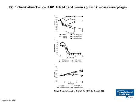 Fig. 1 Chemical inactivation of BPL kills Mtb and prevents growth in mouse macrophages. Chemical inactivation of BPL kills Mtb and prevents growth in mouse.