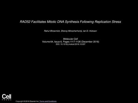 RAD52 Facilitates Mitotic DNA Synthesis Following Replication Stress