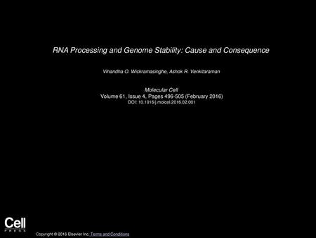 RNA Processing and Genome Stability: Cause and Consequence